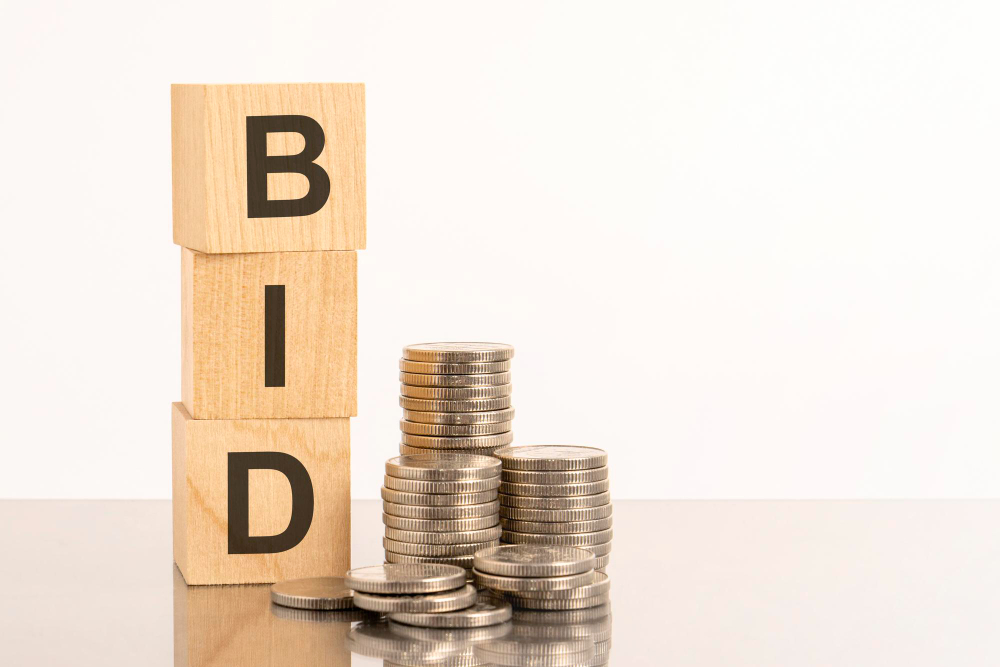 Bid Text on Wooden Cubes on White Background With Coins