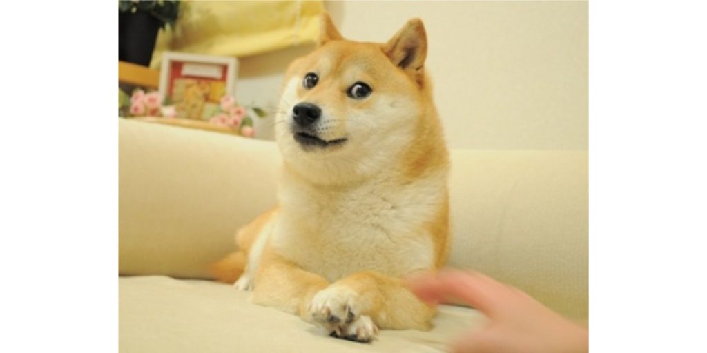 What Is DOGE and Why Was It Made?